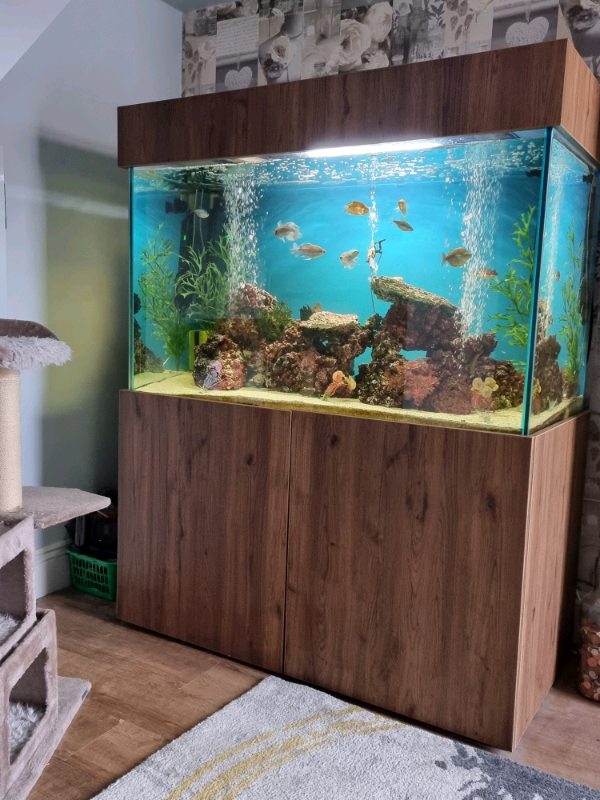 600 litre aquarium in Rugby, Warwickshire Gumtree