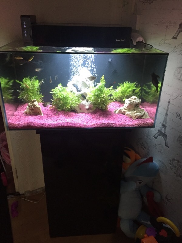 AquaVis 130 black aquarium fish tank & over £600 brand new