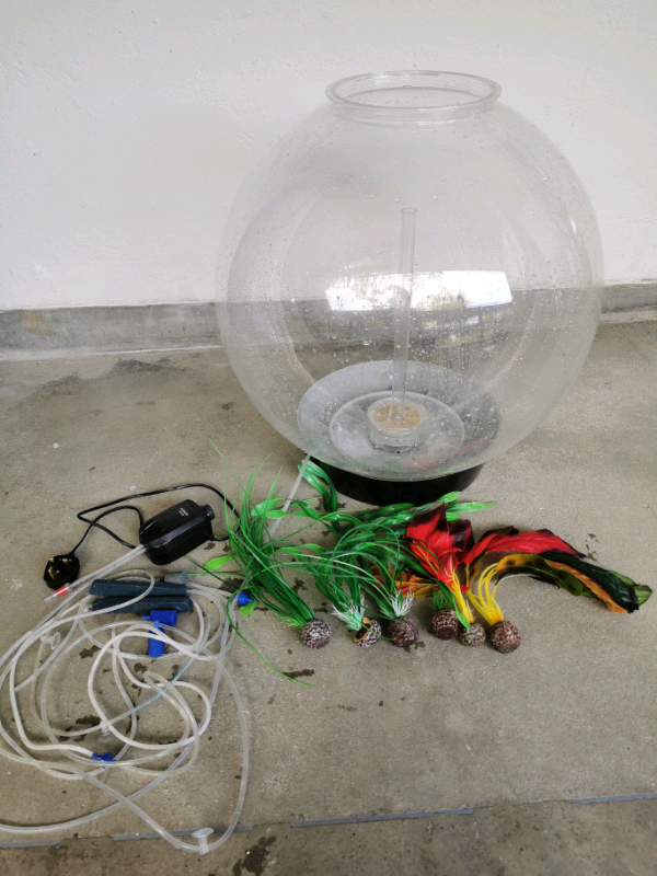 Globe fish tank in Dulwich, London Gumtree