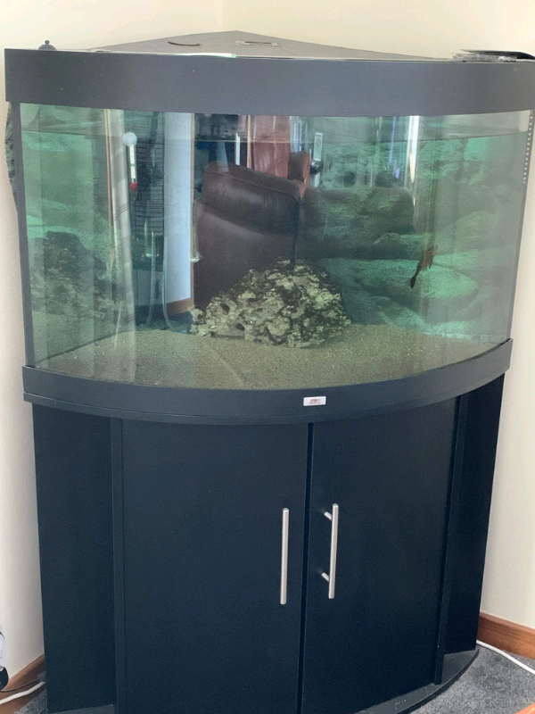 Juwel 180L corner fish tank with black in Perth
