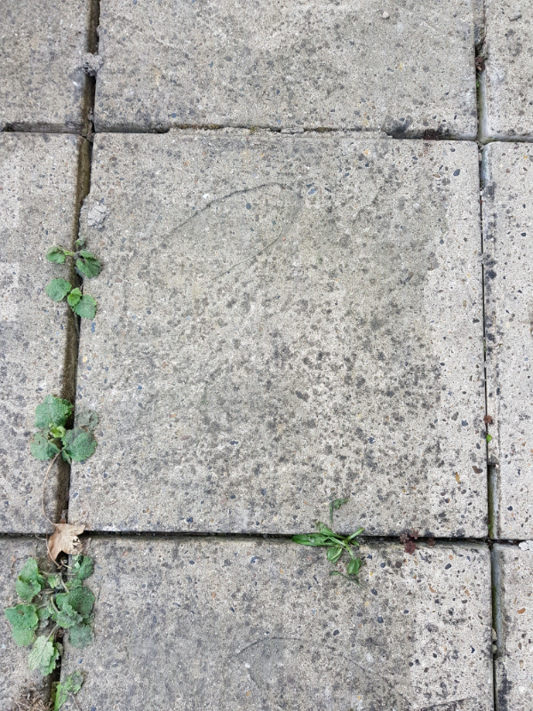 Used Patio Slabs In Abingdon Oxfordshire Gumtree
