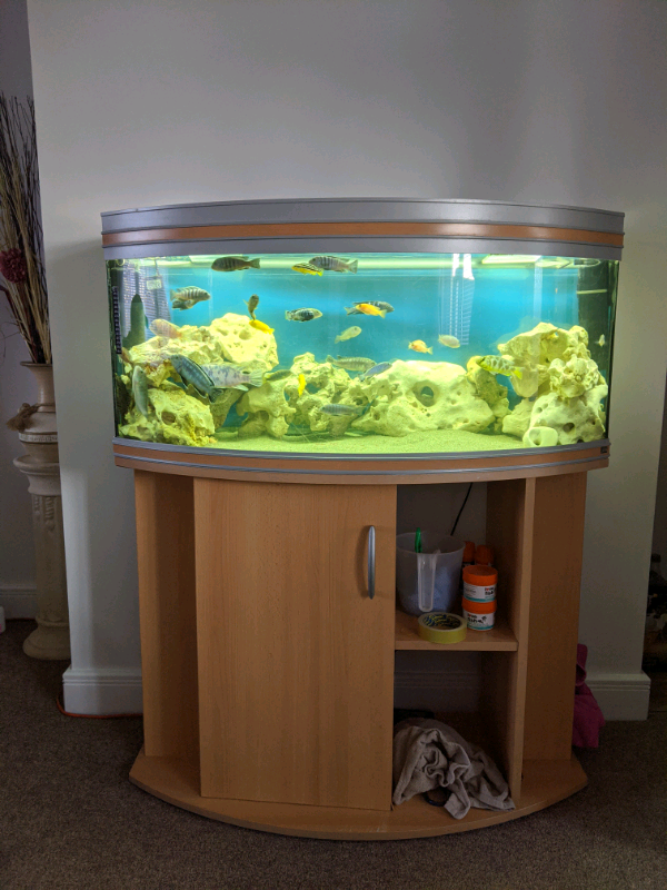 Rena 3.5ft fish tank in CaisteronSea, Norfolk Gumtree