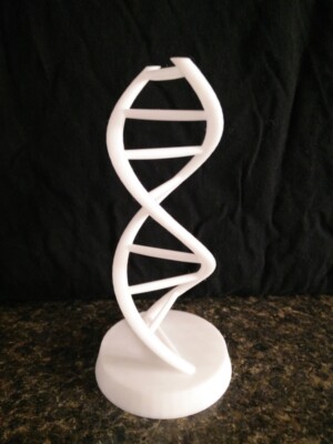 DNA Double Helix 3D Printed Model Sculpture Molecule Science 6'' - Pick Color