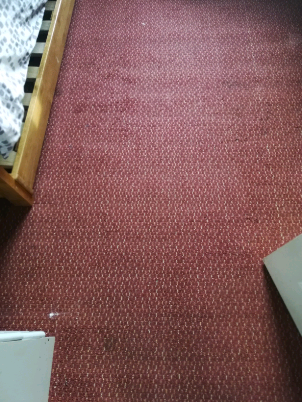 Red carpet size 12x12 in Swallownest, South Yorkshire Gumtree
