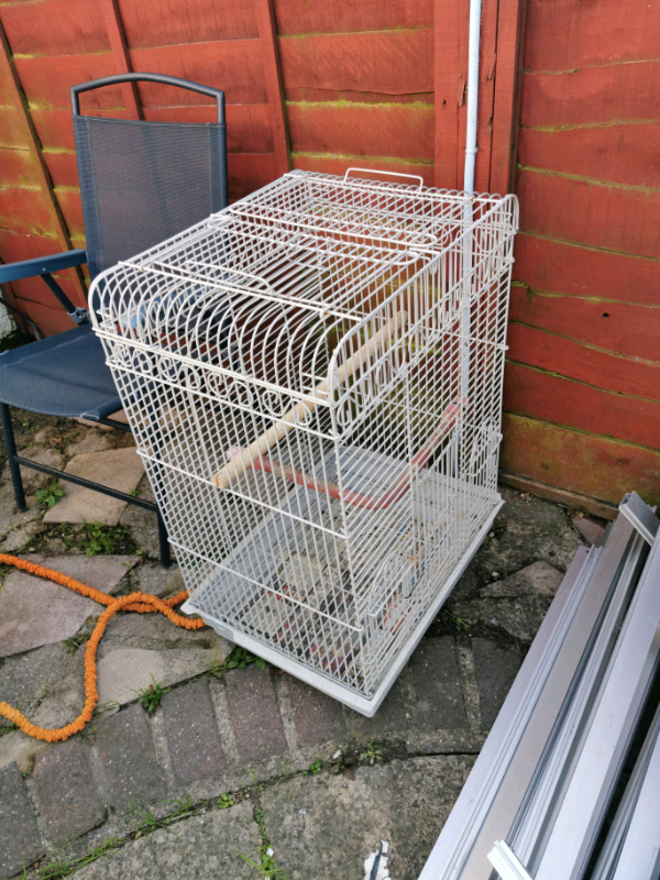 Bird cage in Sittingbourne, Kent Gumtree