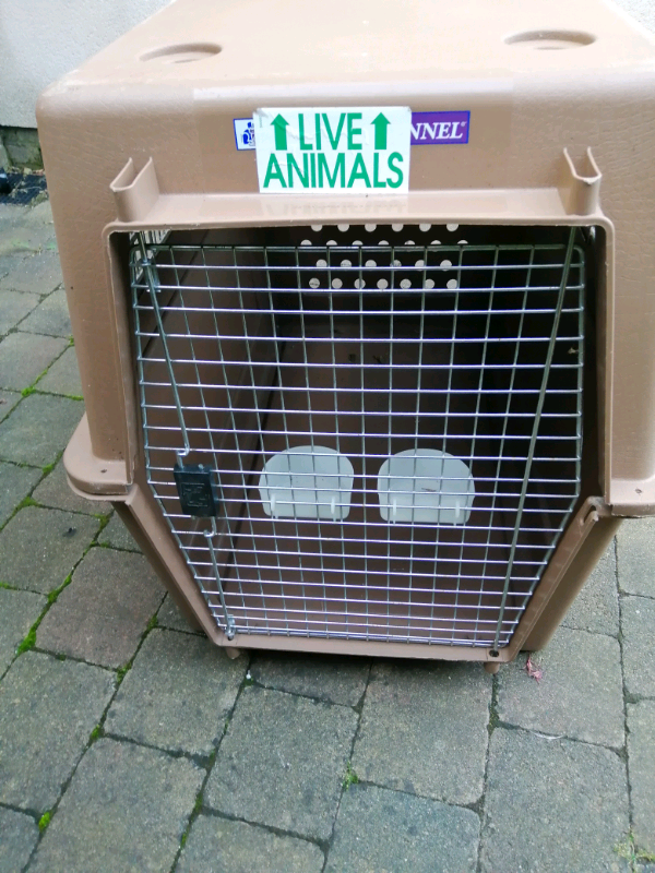 Dog Crate Extra Large Airline Approved in Bangor, County Down Gumtree
