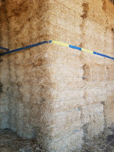Clean straw bales | Miscellaneous Goods | Gumtree Australia Tamworth