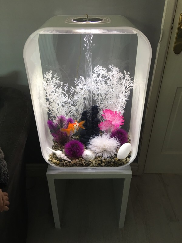 Biorb life 60l fish tank with table in Belfast City Centre, Belfast