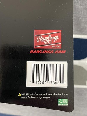 Seattle Seahawks NFL Coleman Insulated Tote Bag Cooler Rawlings NWT