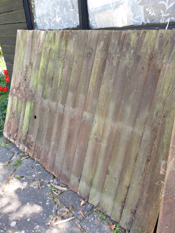 X2 6ft x 4ft fence panels in Norwich, Norfolk Gumtree