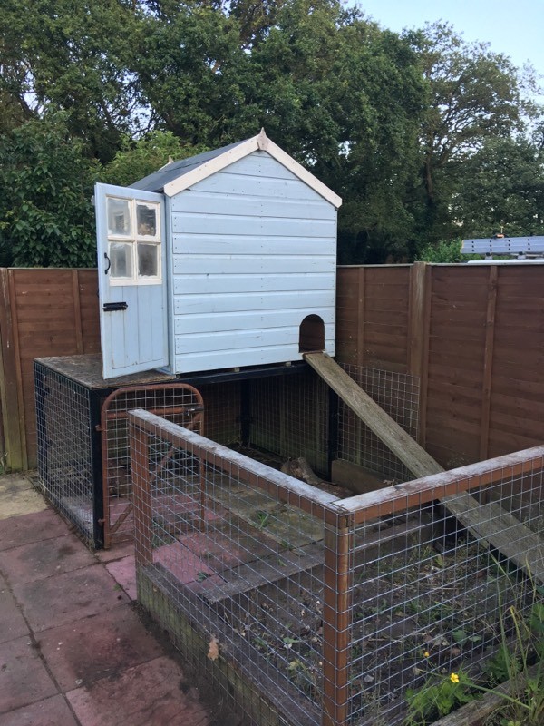 Very Large Raised Rabbit Hutch with Large Run in Norwich, Norfolk