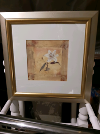 Floral framed prints