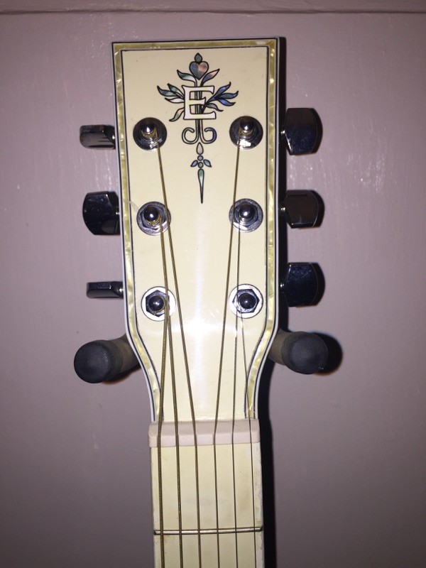 Rare Esteban Acoustic Electric Guitar