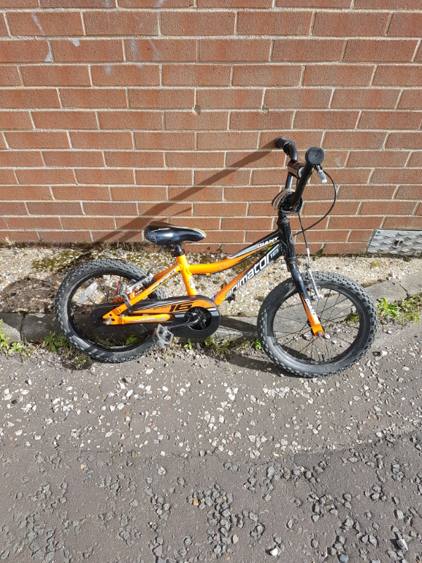 Kids giant bike for sale in Norwich, Norfolk Gumtree