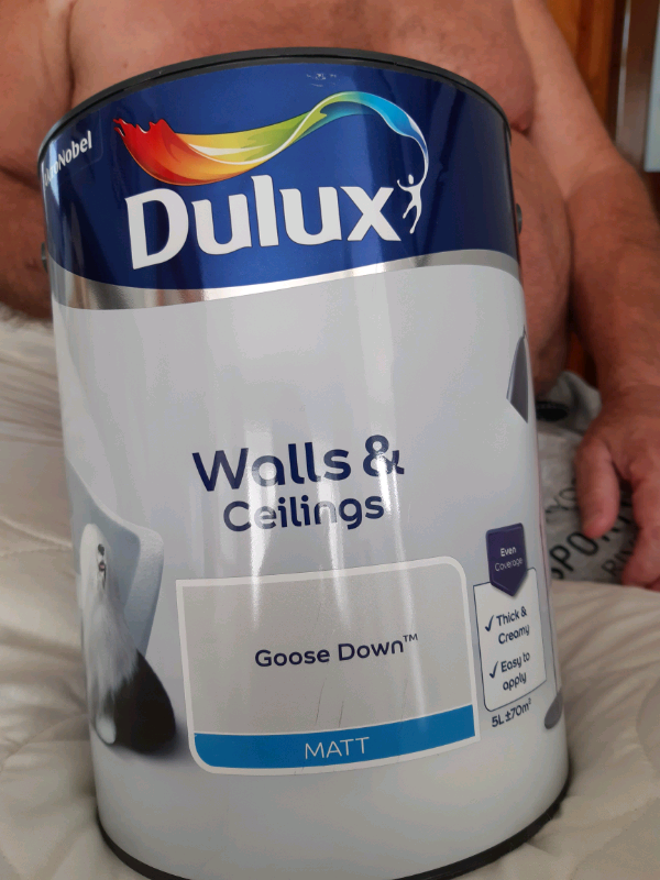 Goose down paint in Torquay, Devon Gumtree