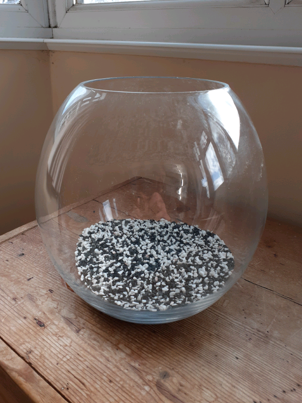 Goldfish Bowl And Gravel in Redcar, North Yorkshire Gumtree