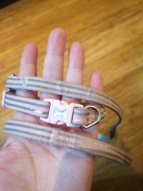 Pink Puppy Collar with Matching Lead