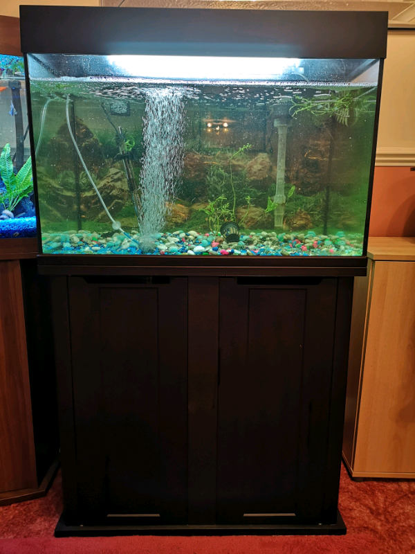 Fish tank and 140l in Bromsgrove, Worcestershire Gumtree