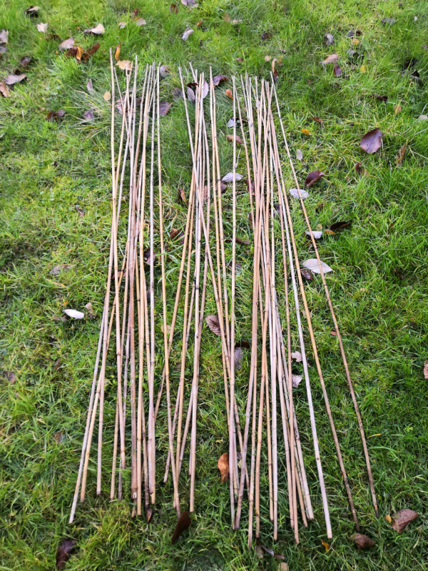 Bamboo plant support garden canes 6 feet in Headington