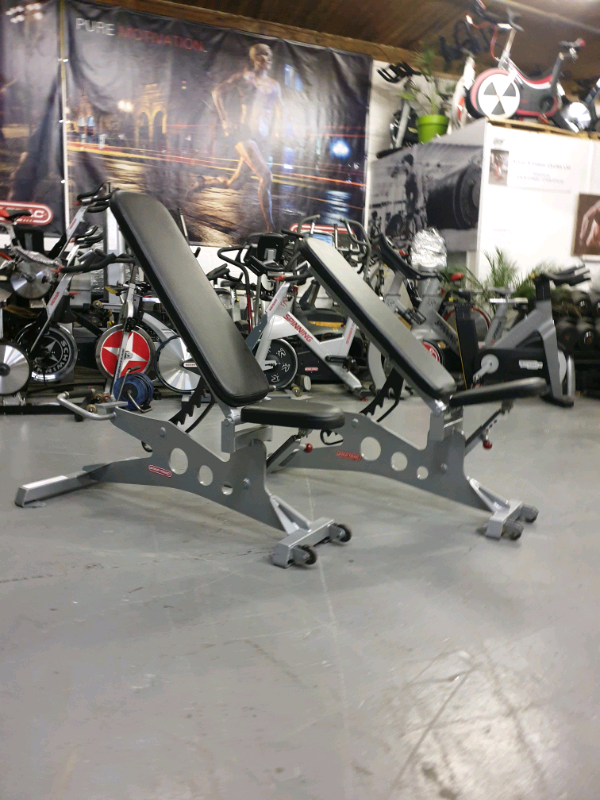 Star Trac Adjustable Bench Commercial Gym