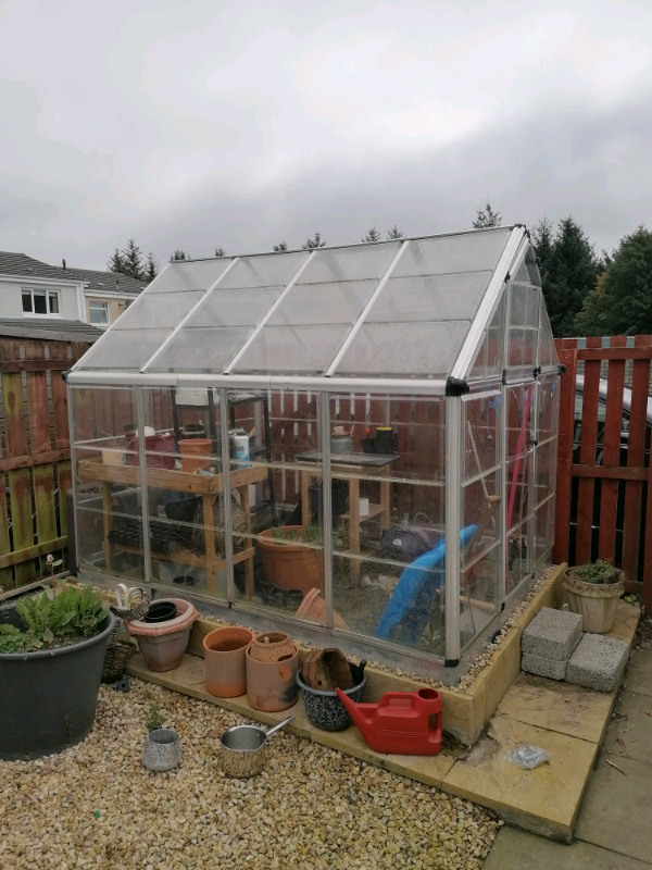 Greenhouse in East Kilbride, Glasgow Gumtree