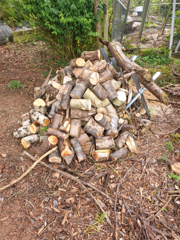 Logs for sale in Arbroath, Angus Gumtree