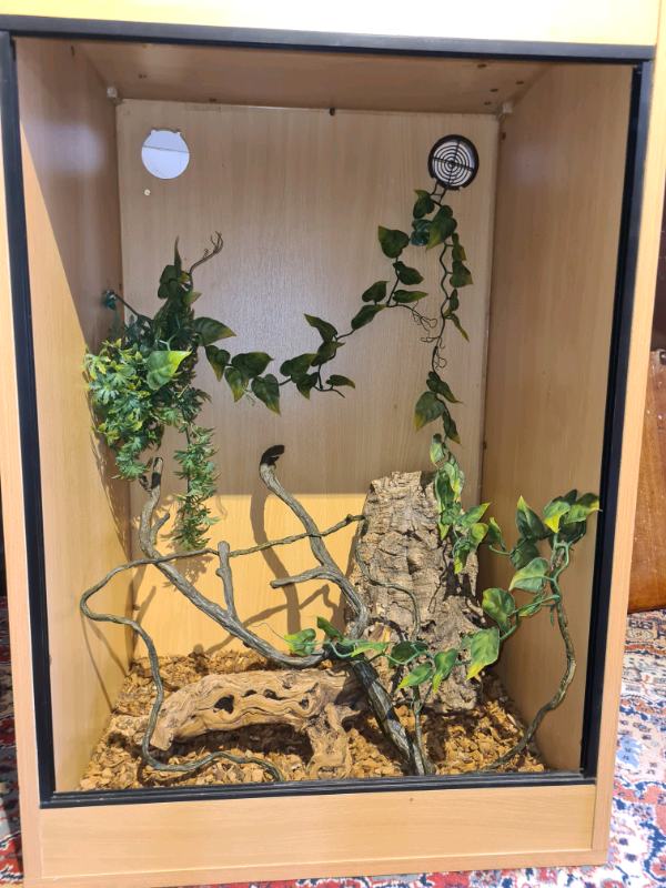 Vivarium 3ft tall chameleon tank | in Bolton, Manchester | Gumtree