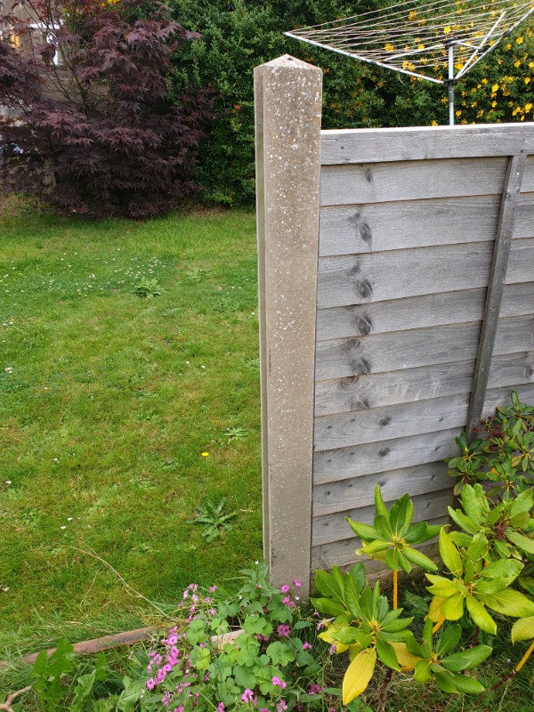 Concrete fence posts for 4 foot panels in Bedminster Down, Bristol