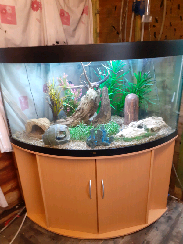 JEWEL TRIGON 350 LITRE CORNER FISHTANK IN SUPERB CONDITION in