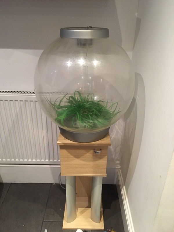 Bio orb 60ltr fish tank in Chelmsford, Essex Gumtree