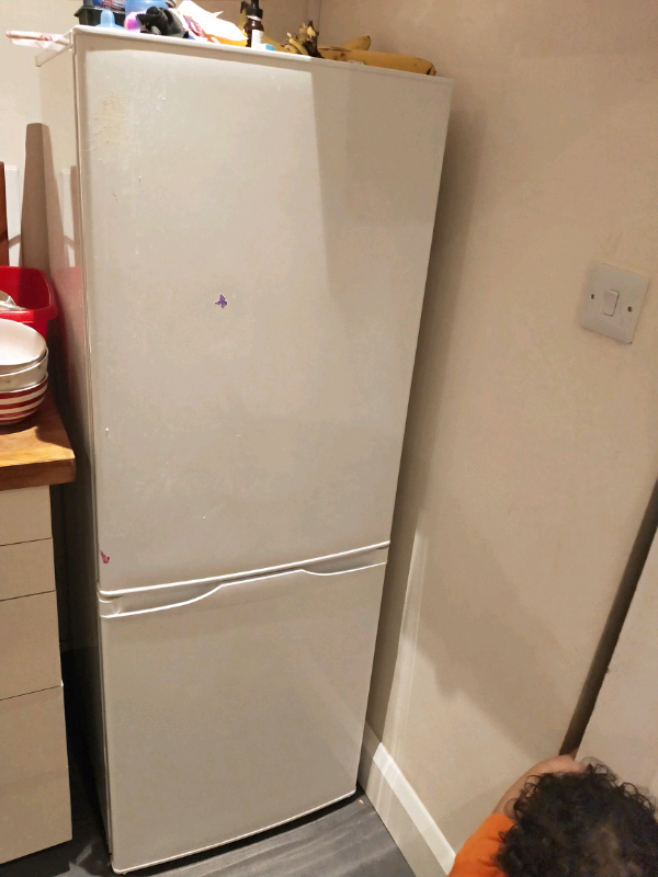 Tall fridge / Refrigerator. Double door in Brighton, East Sussex