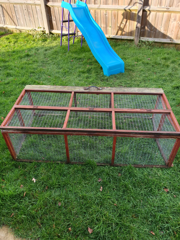 Rabbit runs in Saxmundham, Suffolk Gumtree