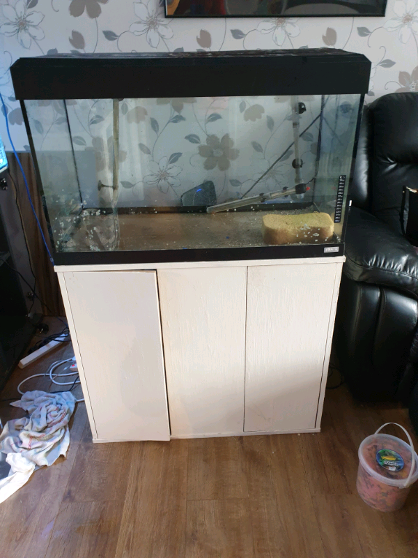 Fish tank 140l in Knowle, Bristol Gumtree