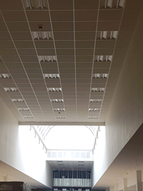 Ceiling Builders Gumtree