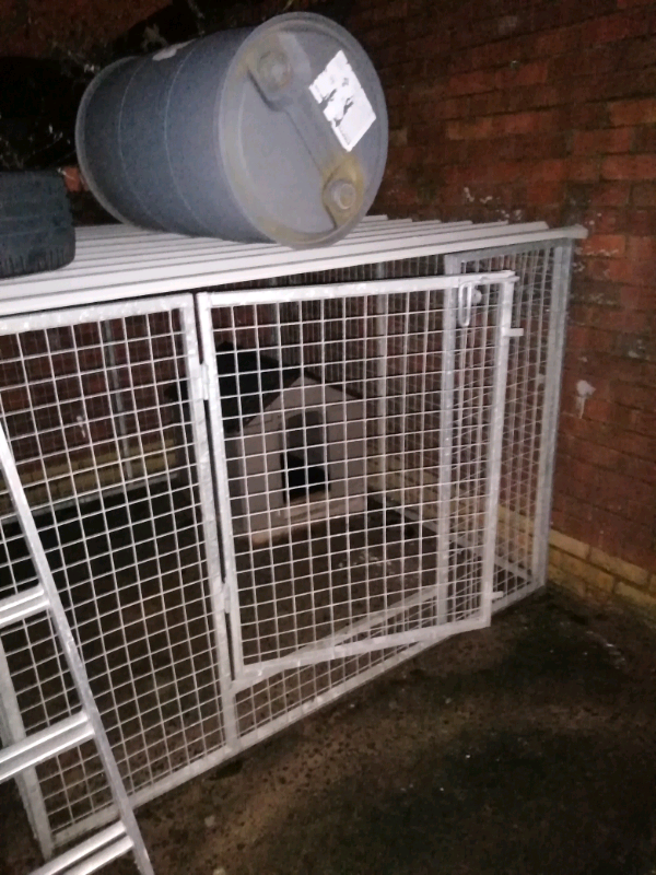 6 by 6 galvanised dog pen with metal roof in County Antrim Gumtree