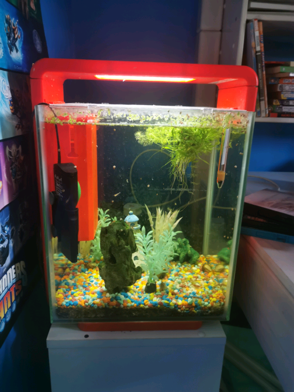 Fish Tank 25L Plus accessories. in Coventry, West Midlands Gumtree