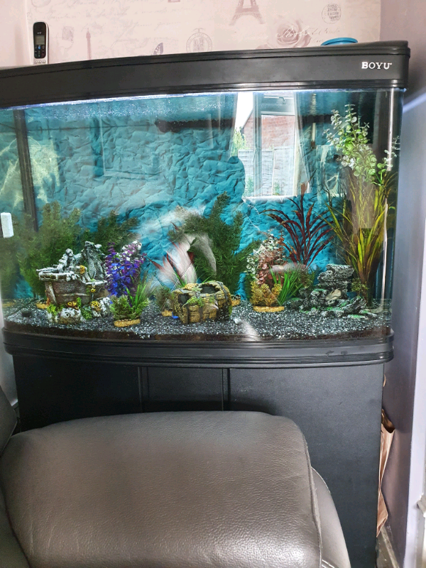 Full fish tank setup in Ashford, Kent Gumtree