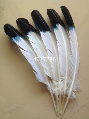 Wholesale 10-100 PCS natural Turkey feather 25-30cm/10-12inches