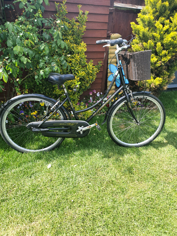 ladies dutch style bike