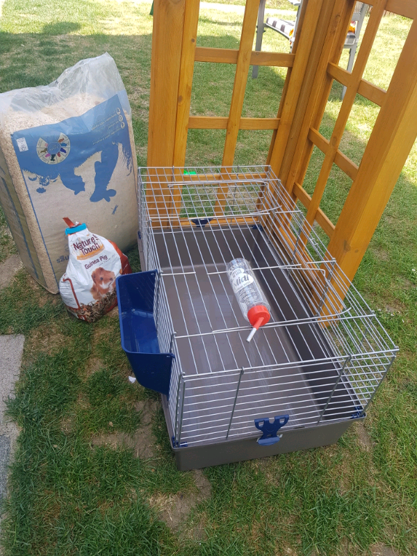 Guinea pig cage with water bottle, food, bedding in Epsom, Surrey Gumtree