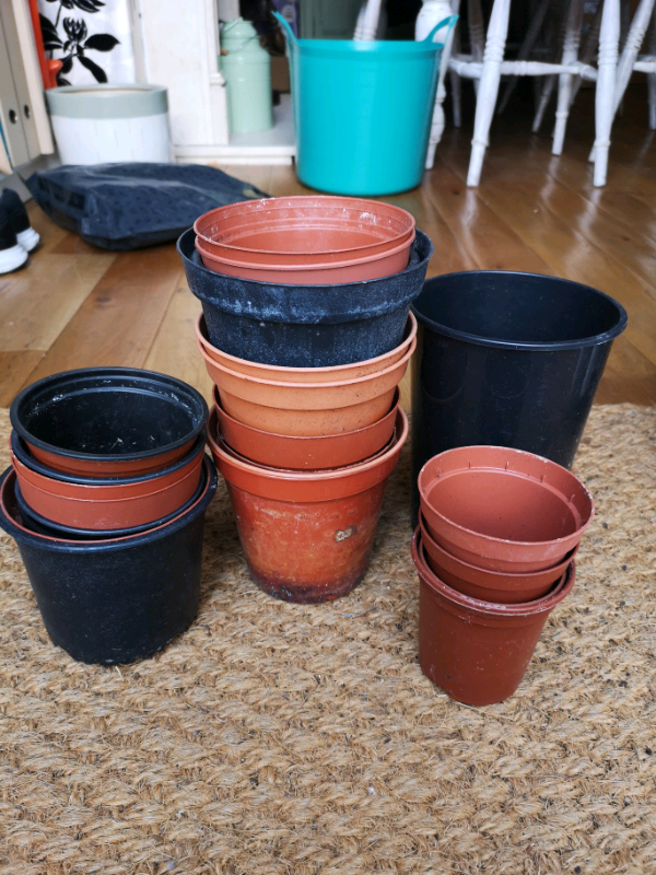 Plastic plant pots assortment of sizes free in