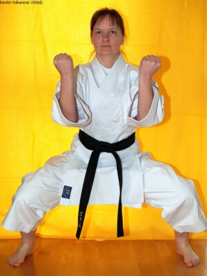 Gi Karate Anzug Karateanzug, ca. 14 oz, KATA-Schnitt Gr. 190