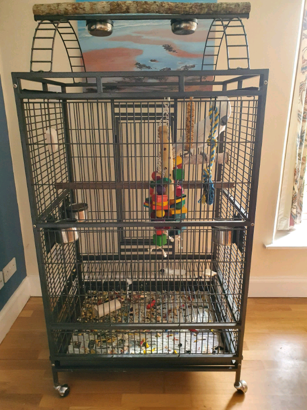 Parrot cages in Lochgilphead, Argyll and Bute Gumtree