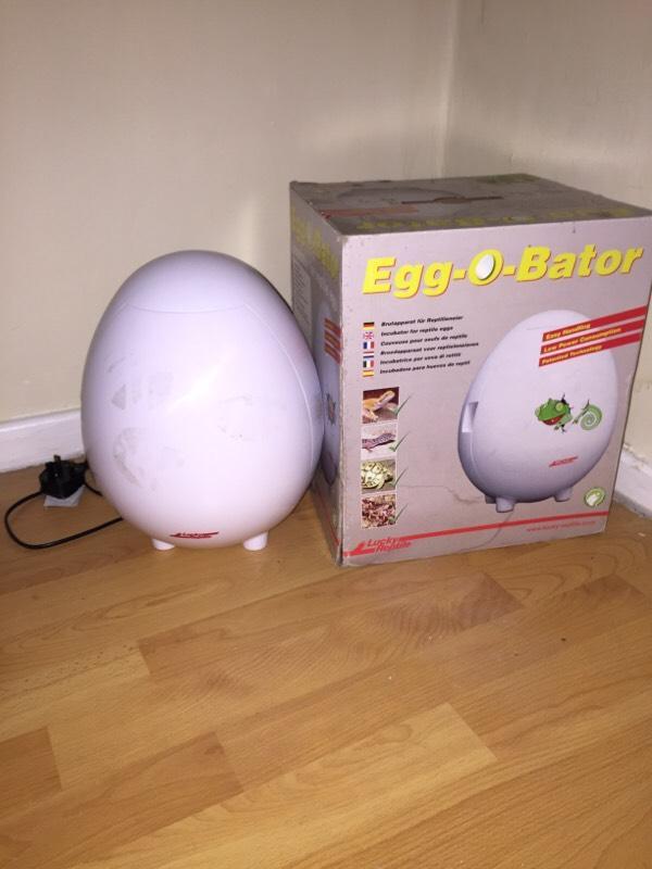 Egg-O-Bator Reptile Incubator  in Eccles, Manchester  Gumtree