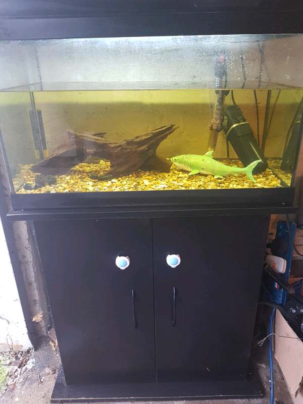 Juwel fish tank for sale, aquarium. in Kingston, London