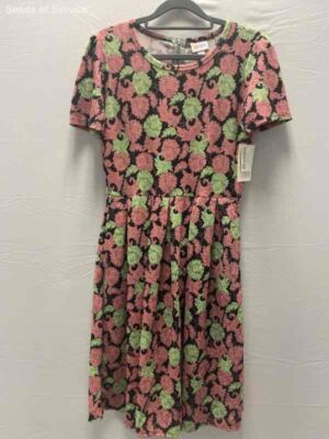 NWT LuLaRoe Multicolor Amelia Floral Pleated Dress Womens M