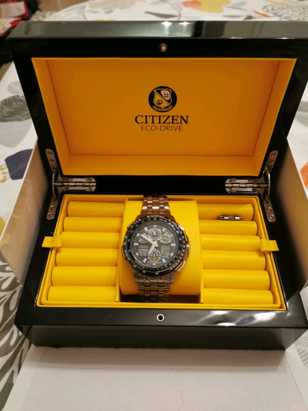 citizen blue angels titanium