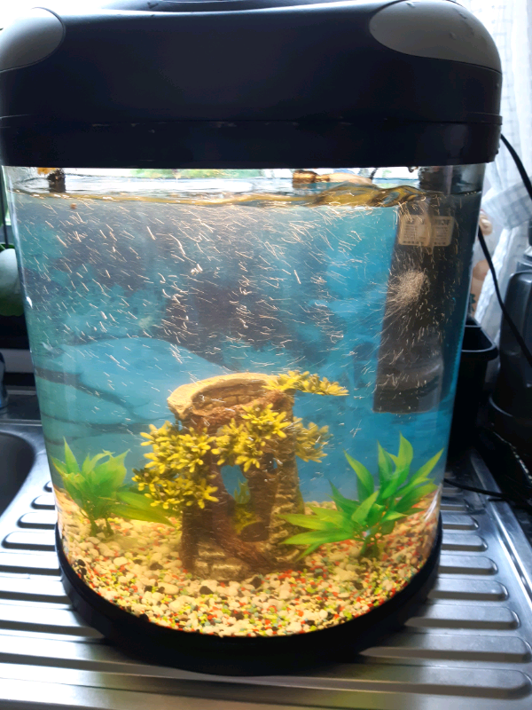 Fish box fish tank 19 litres full tropical set up in Sunderland, Tyne