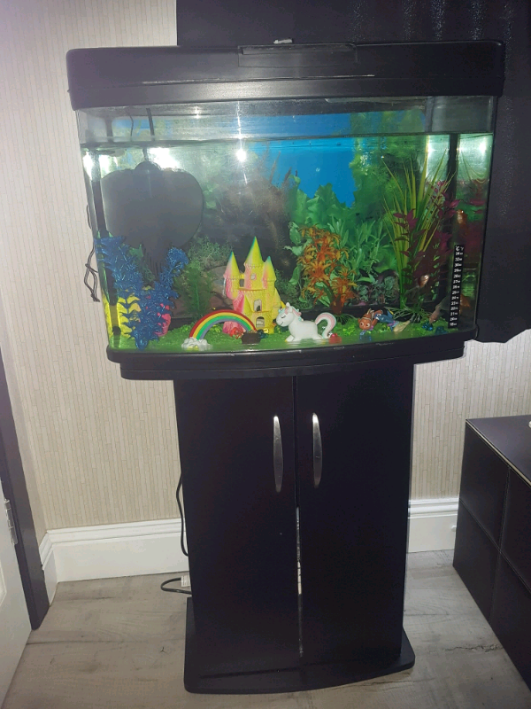 Fish Tanks For Sale Vanderbijlpark fisherjullla