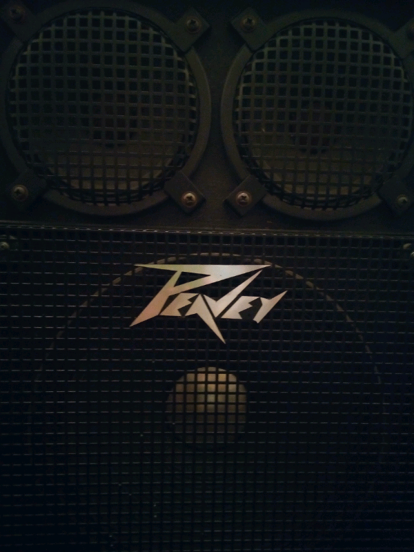 Peavey Black Widow 1516 Bass Cab In Southampton Hampshire